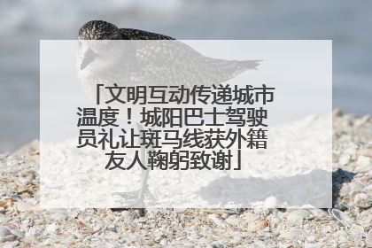 文明互动传递城市温度！城阳巴士驾驶员礼让斑马线获外籍友人鞠躬致谢