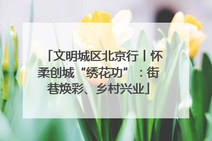 文明城区北京行丨怀柔创城“绣花功”：街巷焕彩、乡村兴业