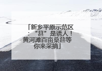 新乡平原示范区：“葚”是诱人！黄河滩百亩桑葚等你来采摘