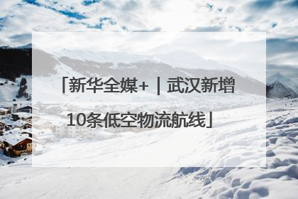 新华全媒+｜武汉新增10条低空物流航线