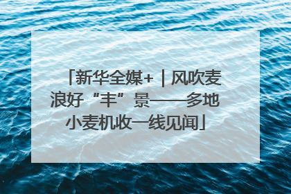 新华全媒+｜风吹麦浪好“丰”景——多地小麦机收一线见闻