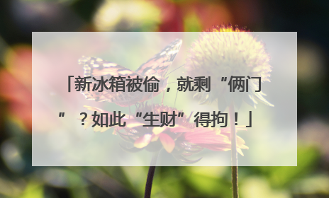新冰箱被偷，就剩“俩门”？如此“生财”得拘！