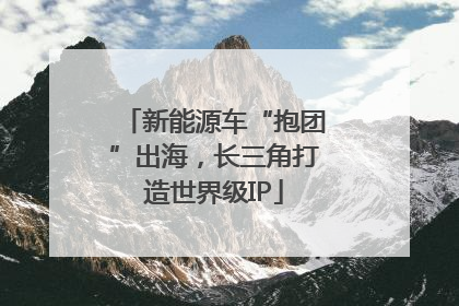 新能源车“抱团”出海，长三角打造世界级IP