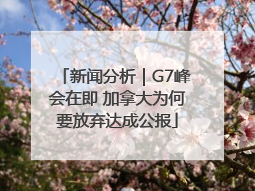 新闻分析｜G7峰会在即 加拿大为何要放弃达成公报