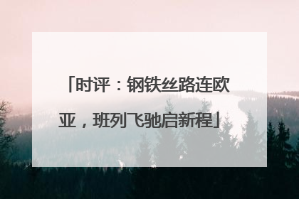 时评：钢铁丝路连欧亚，班列飞驰启新程