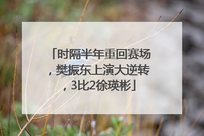 时隔半年重回赛场，樊振东上演大逆转，3比2徐瑛彬