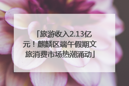 旅游收入2.13亿元！麒麟区端午假期文旅消费市场热潮涌动