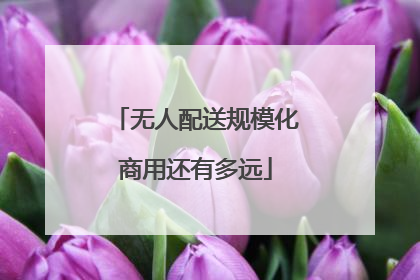 无人配送规模化商用还有多远