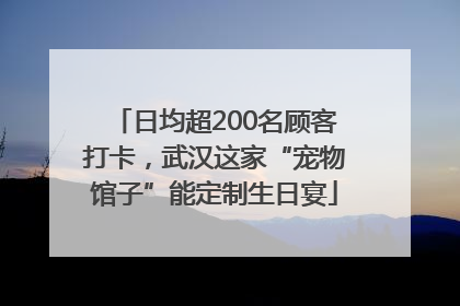 日均超200名顾客打卡，武汉这家“宠物馆子”能定制生日宴