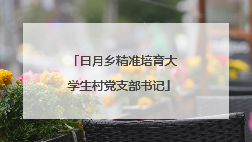 日月乡精准培育大学生村党支部书记