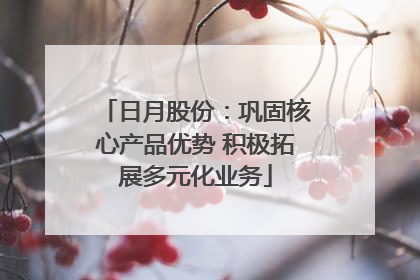 日月股份：巩固核心产品优势 积极拓展多元化业务