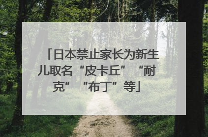日本禁止家长为新生儿取名“皮卡丘”“耐克”“布丁”等