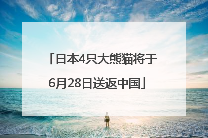 日本4只大熊猫将于6月28日送返中国