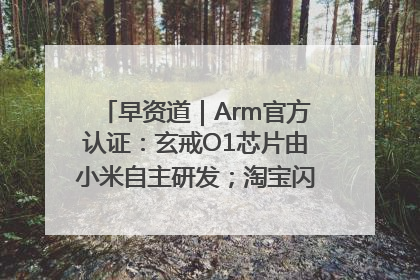 早资道｜Arm官方认证：玄戒O1芯片由小米自主研发；淘宝闪购联合饿了么日订单超4000万