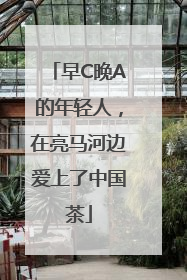 早C晚A的年轻人，在亮马河边爱上了中国茶
