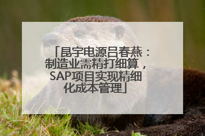 昆宇电源吕春燕：制造业需精打细算，SAP项目实现精细化成本管理