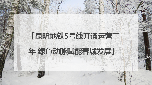 昆明地铁5号线开通运营三年 绿色动脉赋能春城发展