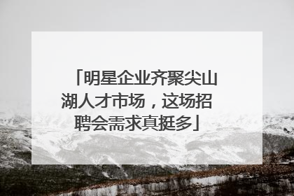 明星企业齐聚尖山湖人才市场，这场招聘会需求真挺多