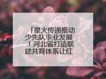 星火传递推动少先队事业发展！河北省打造联建共育体系让红领巾更鲜艳