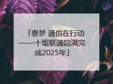 春梦 通信在行动——十堰联通圆满完成2025年
