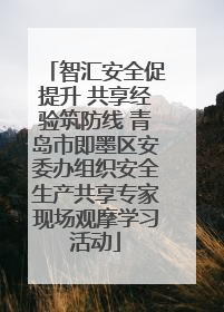 智汇安全促提升 共享经验筑防线 青岛市即墨区安委办组织安全生产共享专家现场观摩学习活动