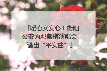 暖心又安心！衡阳公安为邓紫棋演唱会谱出“平安曲”