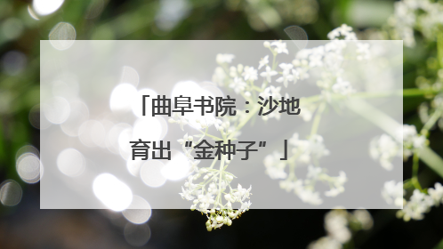 曲阜书院：沙地育出“金种子”