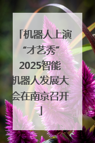 机器人上演“才艺秀” 2025智能机器人发展大会在南京召开
