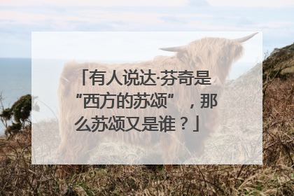 有人说达·芬奇是“西方的苏颂”，那么苏颂又是谁？