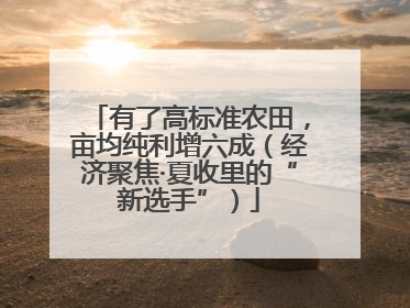 有了高标准农田，亩均纯利增六成（经济聚焦·夏收里的“新选手”）