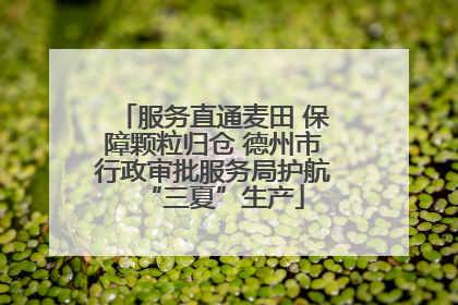 服务直通麦田 保障颗粒归仓 德州市行政审批服务局护航“三夏”生产
