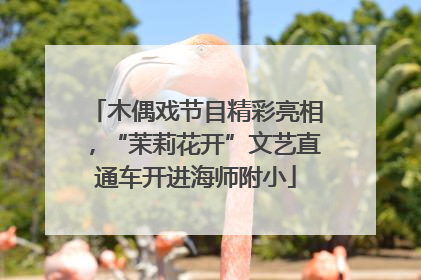 木偶戏节目精彩亮相，“茉莉花开”文艺直通车开进海师附小
