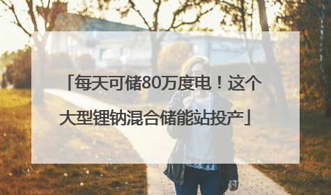 每天可储80万度电！这个大型锂钠混合储能站投产