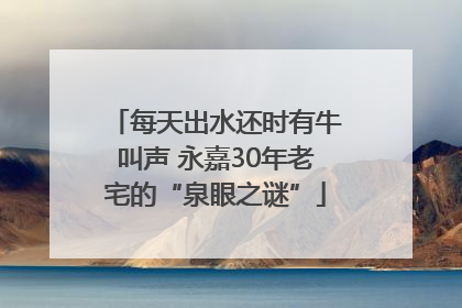 每天出水还时有牛叫声 永嘉30年老宅的“泉眼之谜”