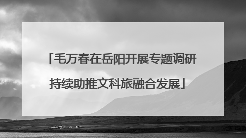 毛万春在岳阳开展专题调研 持续助推文科旅融合发展