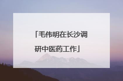 毛伟明在长沙调研中医药工作