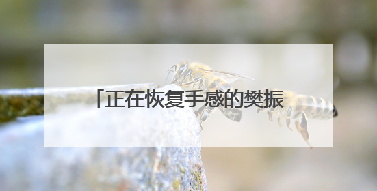 正在恢复手感的樊振东，一天四战全胜
