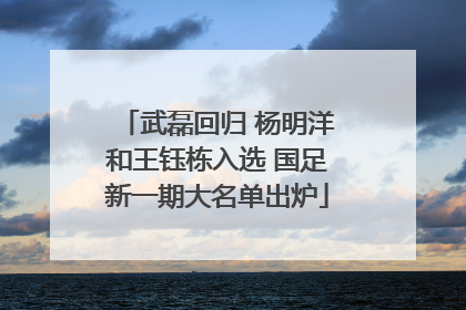 武磊回归 杨明洋和王钰栋入选 国足新一期大名单出炉