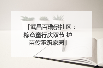 武昌百瑞景社区：粽意童行庆双节 护苗传承筑家园