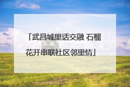 武昌城里话交融 石榴花开串联社区邻里情