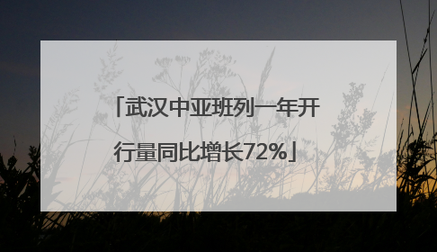 武汉中亚班列一年开行量同比增长72%