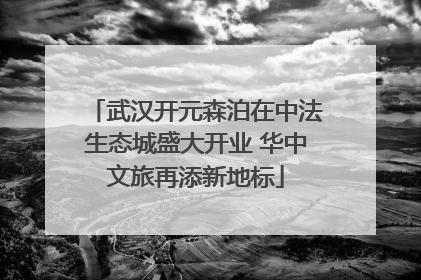 武汉开元森泊在中法生态城盛大开业 华中文旅再添新地标
