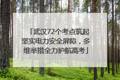 武汉72个考点筑起坚实电力安全屏障，多维举措全力护航高考