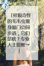 样貌奇怪的毛毛虫现身厦门公园步道，它们是啥？专业人士提醒→