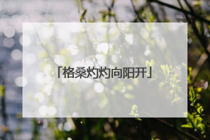 格桑灼灼向阳开