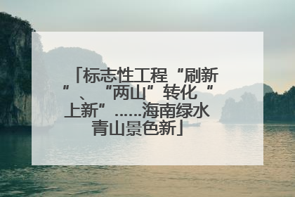 标志性工程“刷新”、“两山”转化“上新”……海南绿水青山景色新