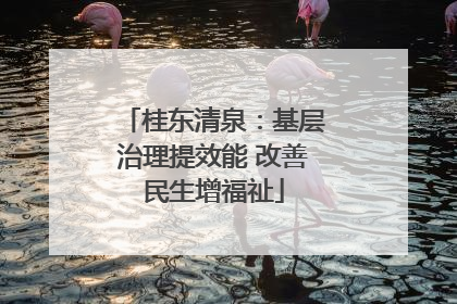 桂东清泉：基层治理提效能 改善民生增福祉
