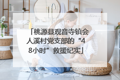 桃源县观音寺镇会人溪村党支部的“48小时”救援纪实
