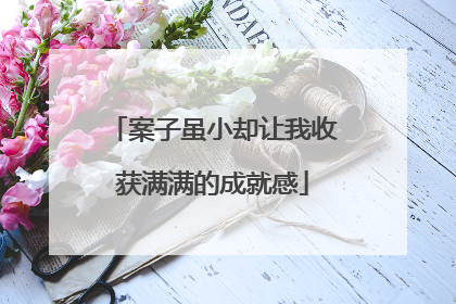 案子虽小却让我收获满满的成就感