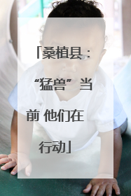 桑植县：“猛兽”当前 他们在行动
